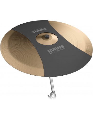 Evans Ride Mute 20'' (SORDINA)
