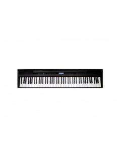 Echord SP10 Pianoforte...