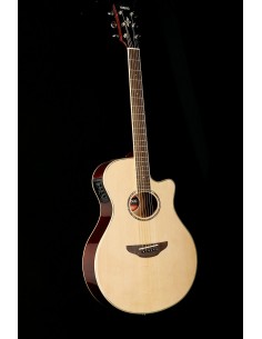 YAMAHA APX600 Natural