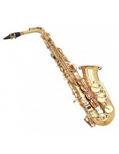 Ida Maria Grassi SAL700