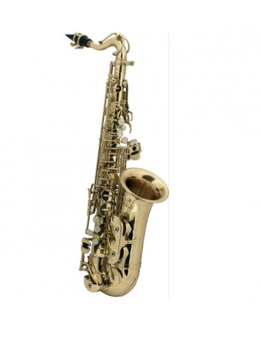 SAX Contralto Roy Benson AS 201