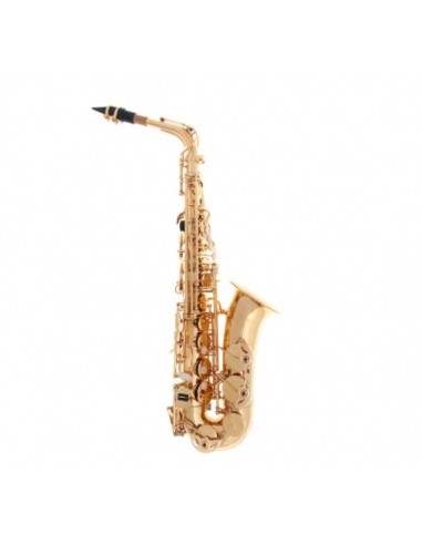 J.MICHAEL SAX ALTO AL500N LACCATO