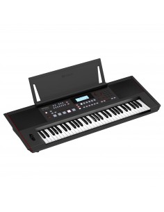 ROLAND E-X50