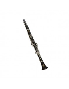 Ida Maria Grassi clarinetto...