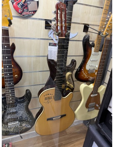 GODIN MultiAc Steel Duet Ambiance