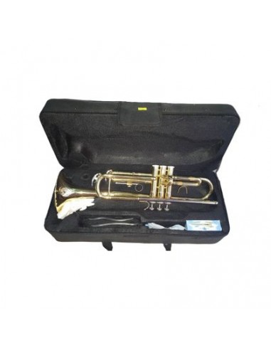 DAM DTR-100 Tromba con astuccio