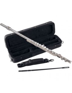 W.Stern FlautoTraverso con...