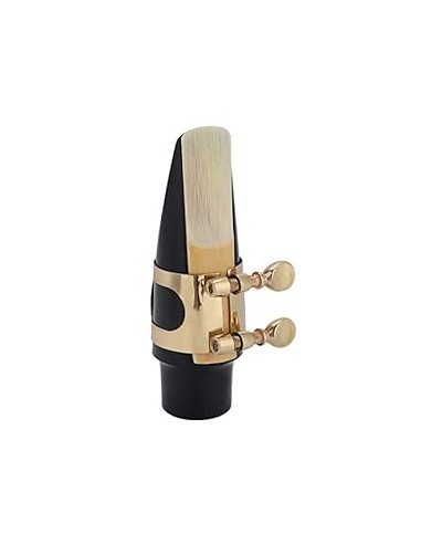 DAM Bocchino per Sax Alto