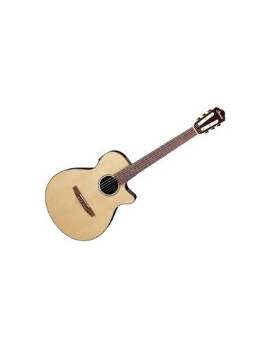 Ibanez AEG50N-NT Nylon