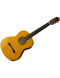 Yamaha C40 (USATO) con fodero