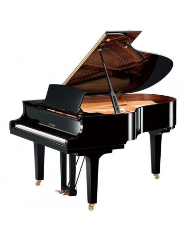 Yamaha C3 Grand Piano (USATO)