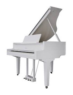 Niedermeyer GP 145...